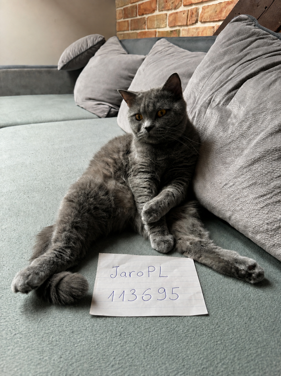 d96ab431-4e2b-4e97-b6f1-121cb6a42fc9.png