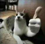 image.jpeg.ce6f7b4427f9fba0c199836269a6e37d.jpeg