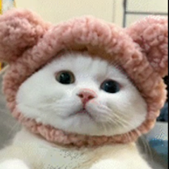 Yukinoo