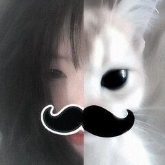 lisu*