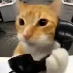 Akki