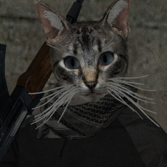 PewienKitku